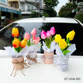 Chậu 3 bông tulip mini để bàn làm quà tặng đáng yêu 851