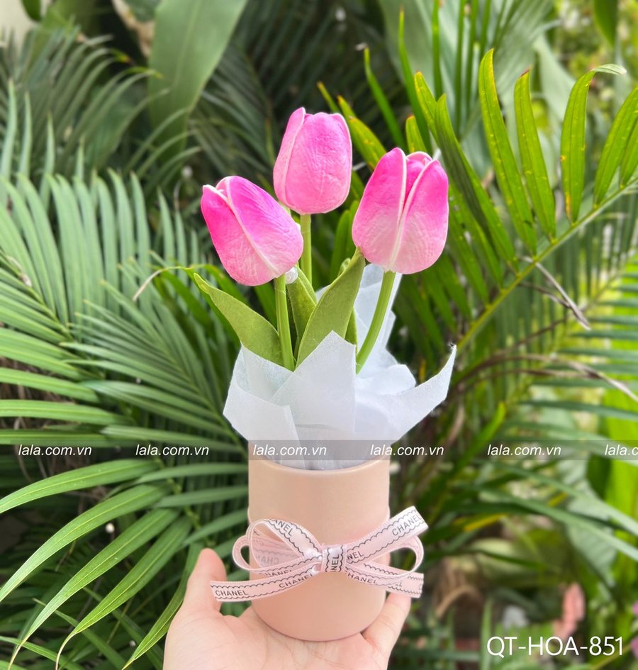 Ảnh sản phẩm - Lala Shop