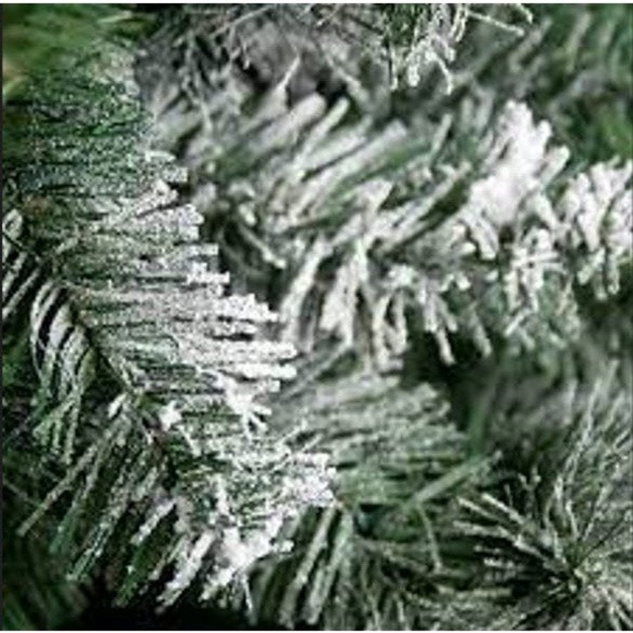 Ảnh sản phẩm - Lala Shop