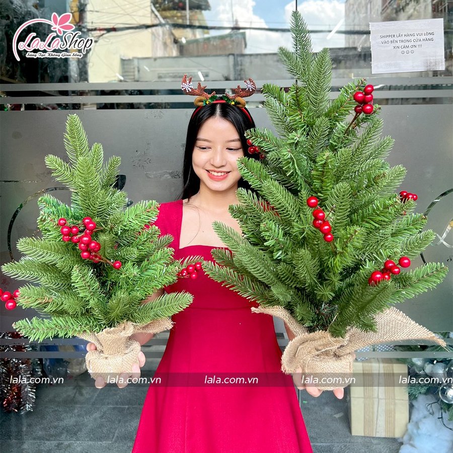 Cây Thông Noel Mini PE Gắn Trái Đỏ