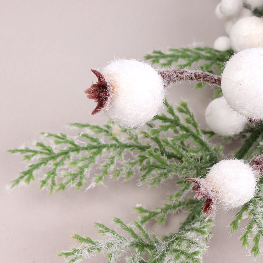 Ảnh sản phẩm - Lala Shop