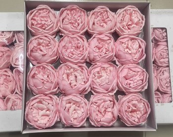 Hộp 16 đầu hoa hồng sáp 7 lớp