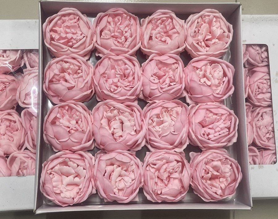 Hộp 16 đầu hoa hồng sáp 7 lớp