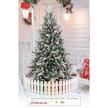 Cây thông PE phủ tuyết gắn trái đỏ - cây tự động