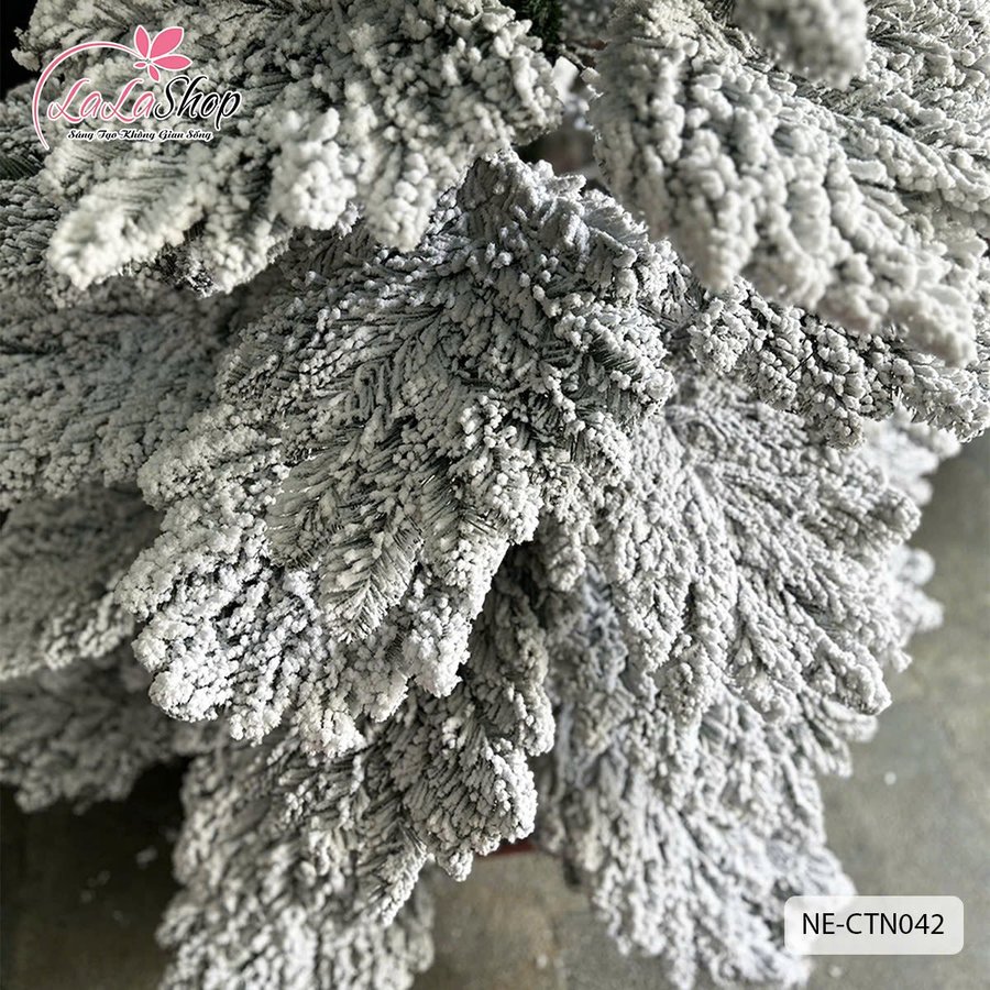 Ảnh sản phẩm - Lala Shop