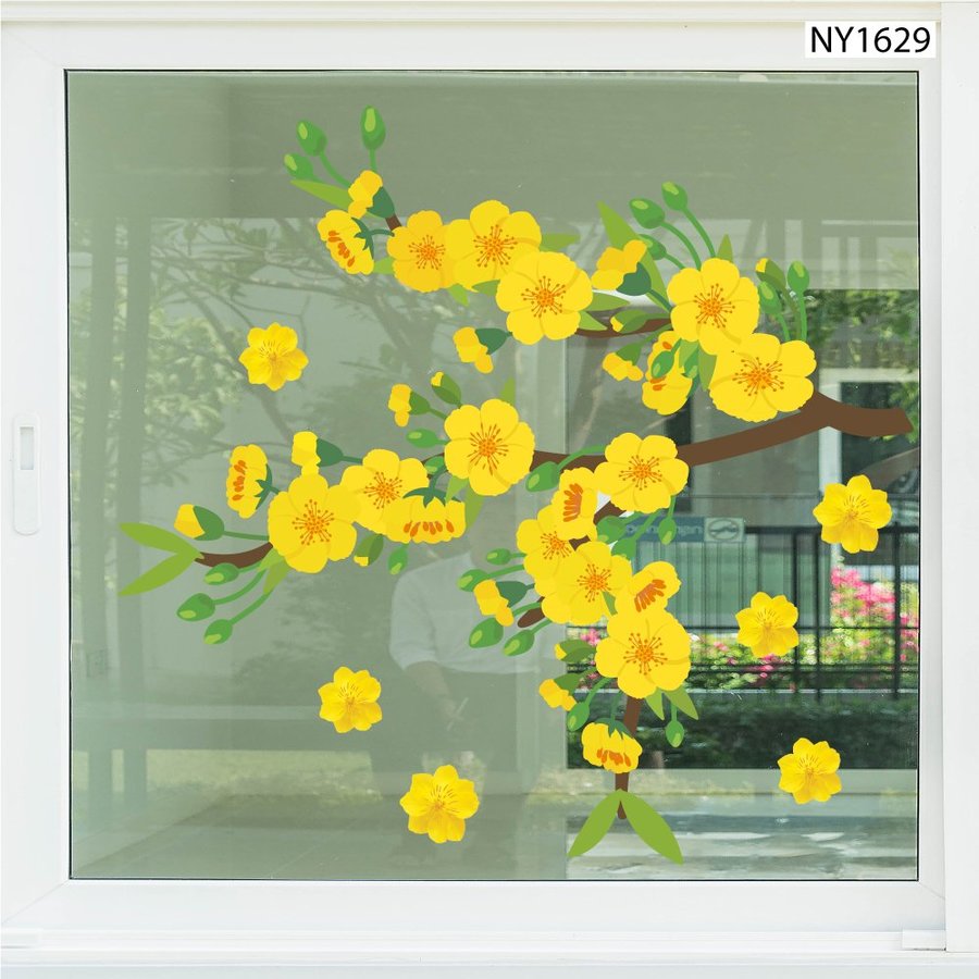 Decal Trang Trí Tết mai vàng nở rộ khoe sắc