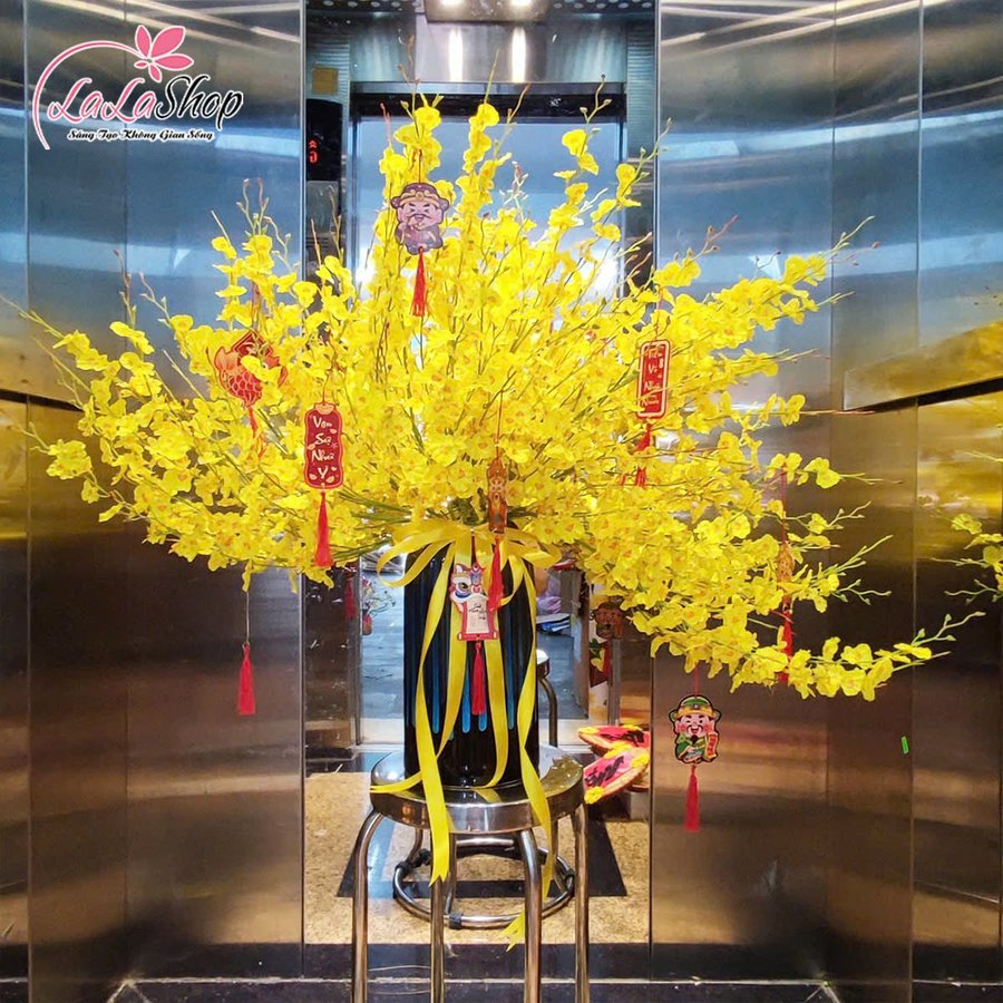 Ảnh sản phẩm - Lala Shop