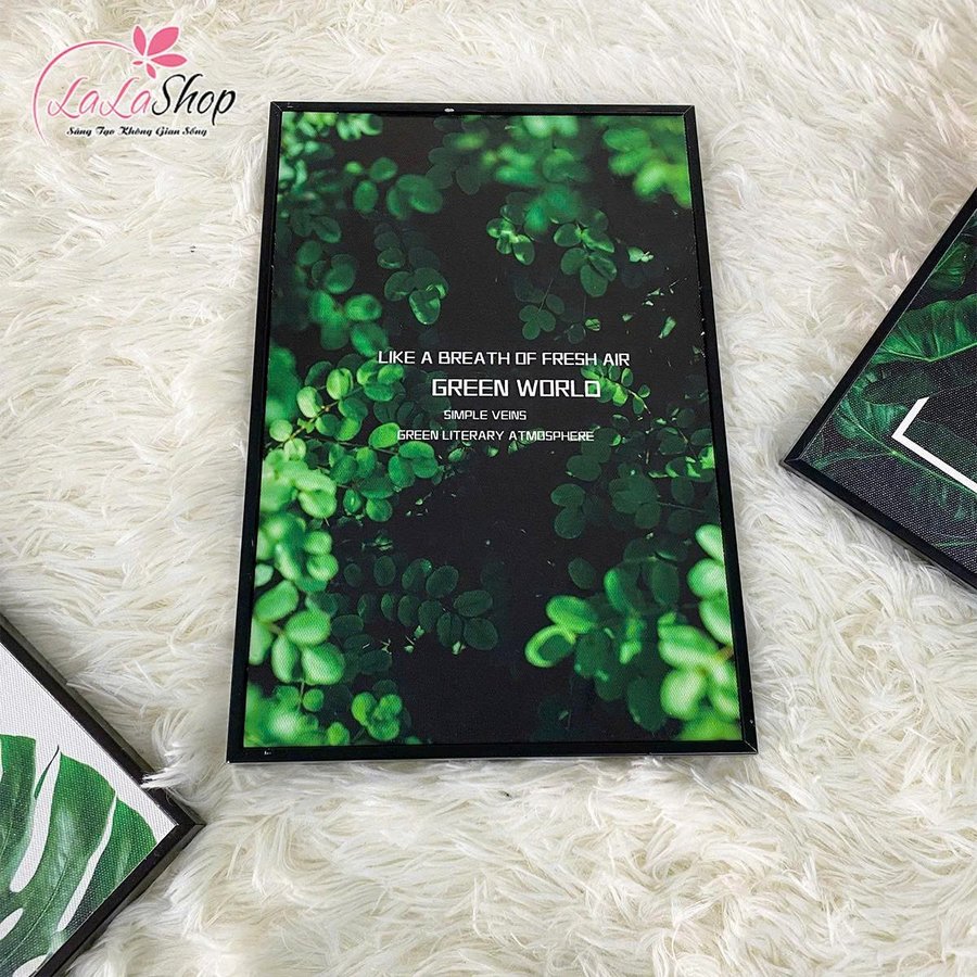 Ảnh sản phẩm - Lala Shop