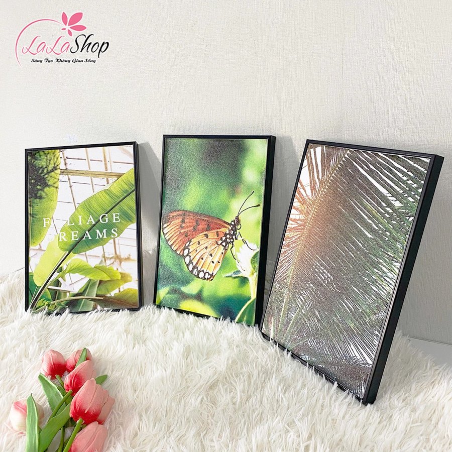 Ảnh sản phẩm - Lala Shop