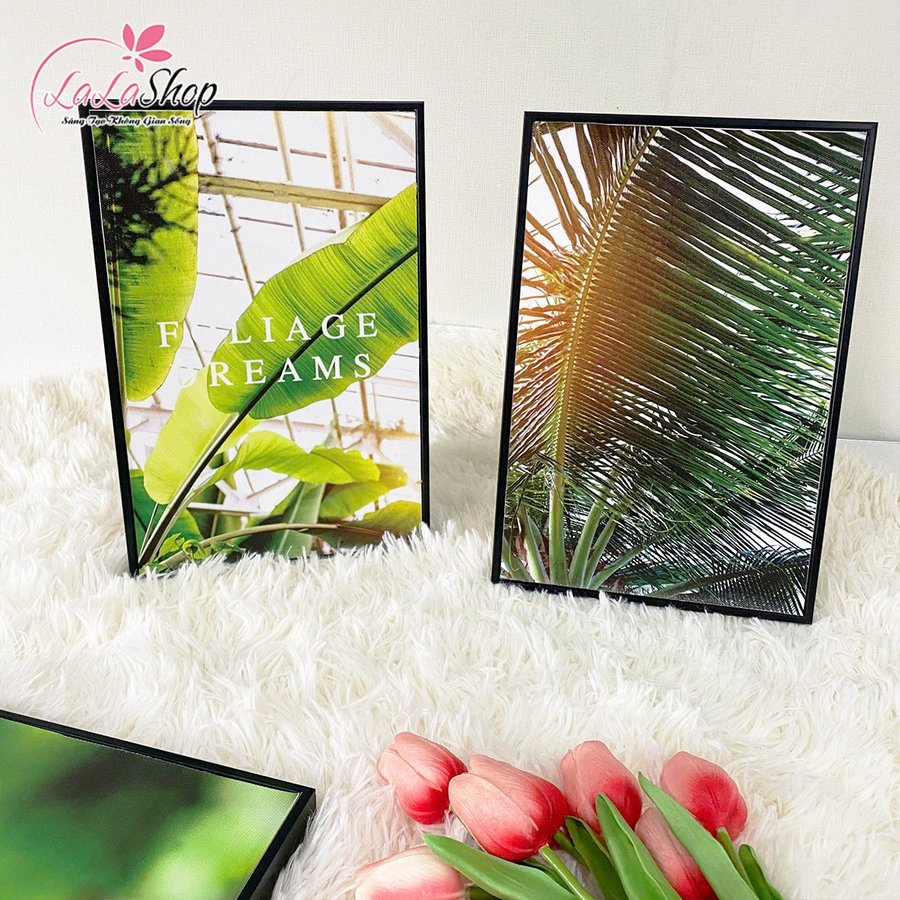 Ảnh sản phẩm - Lala Shop