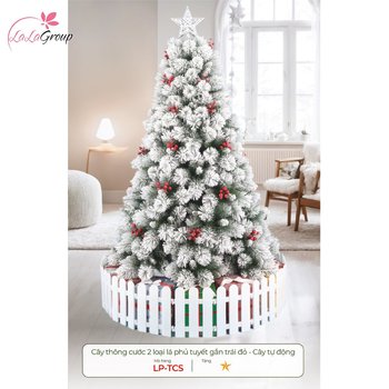 Cây thông cước 2 loại lá phủ tuyết gắn trái đỏ - Cây tự động