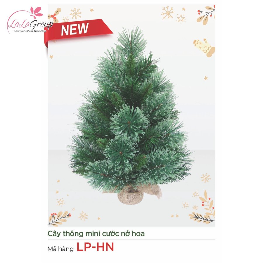 Cây thông mini cước nở hoa