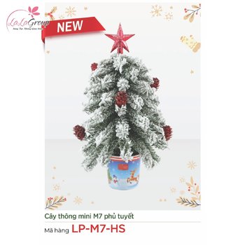Cây thông mini M7 phủ tuyết