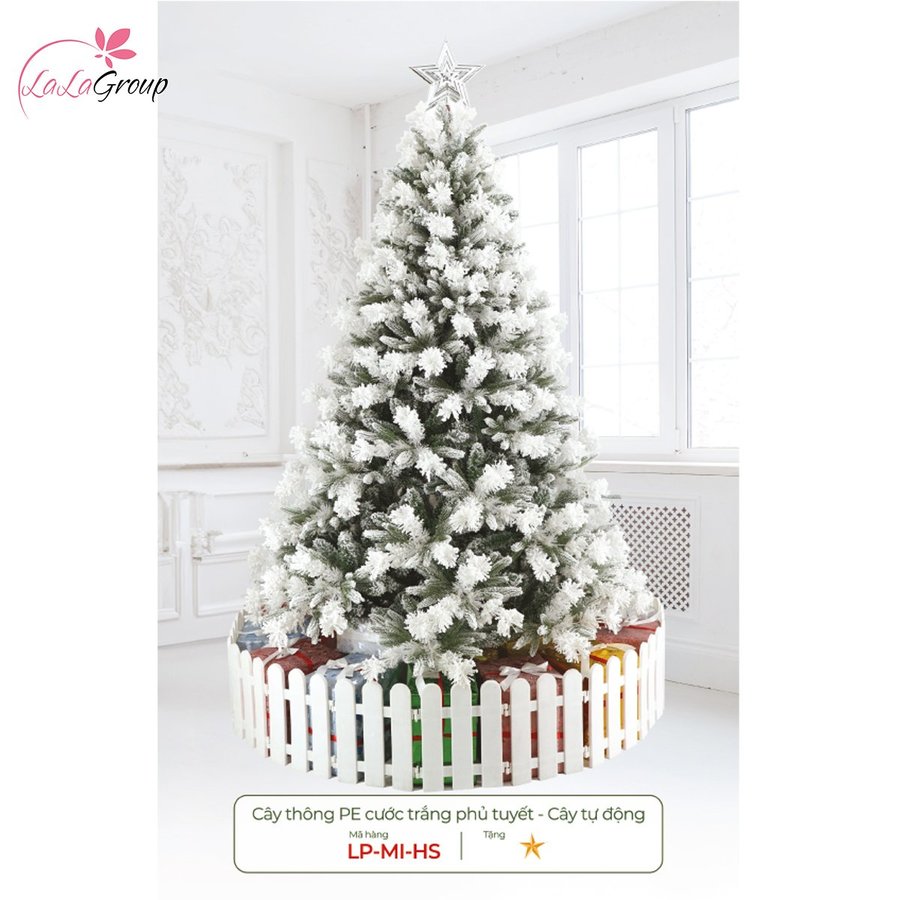Cây thông pe cước trắng phủ tuyết - Cây tự động