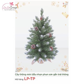 Cây thông mini đầu nhọn phun sơn gắn trái thông 60cm