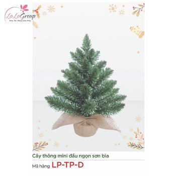 Cây thông mini đầu nhọn sơn bìa