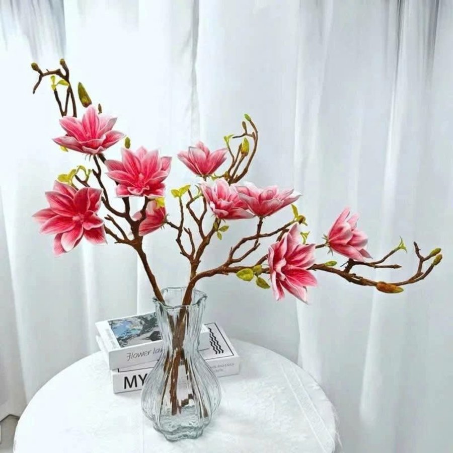 Ảnh sản phẩm - Lala Shop