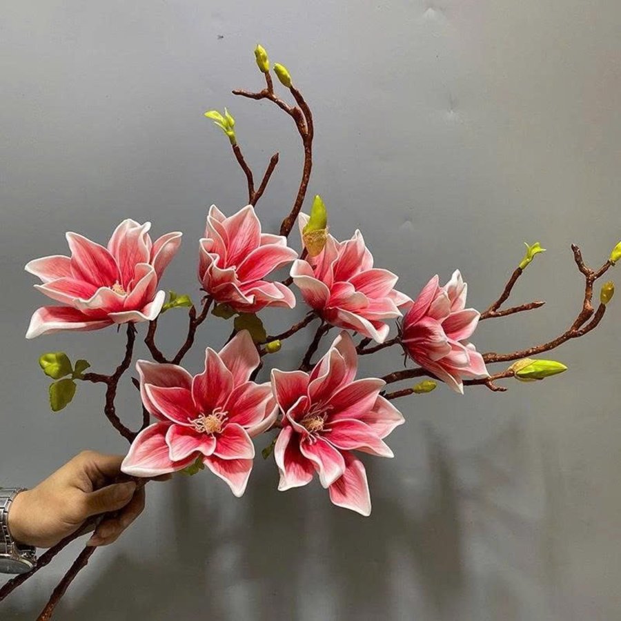 Ảnh sản phẩm - Lala Shop