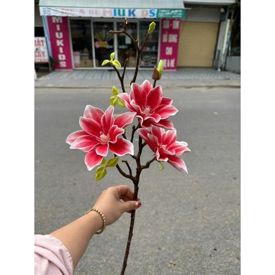 Ảnh sản phẩm - Lala Shop