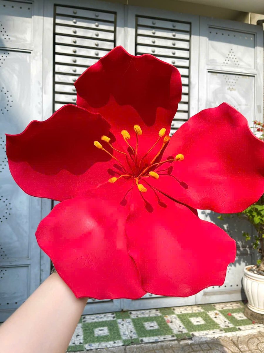 Ảnh sản phẩm - Lala Shop