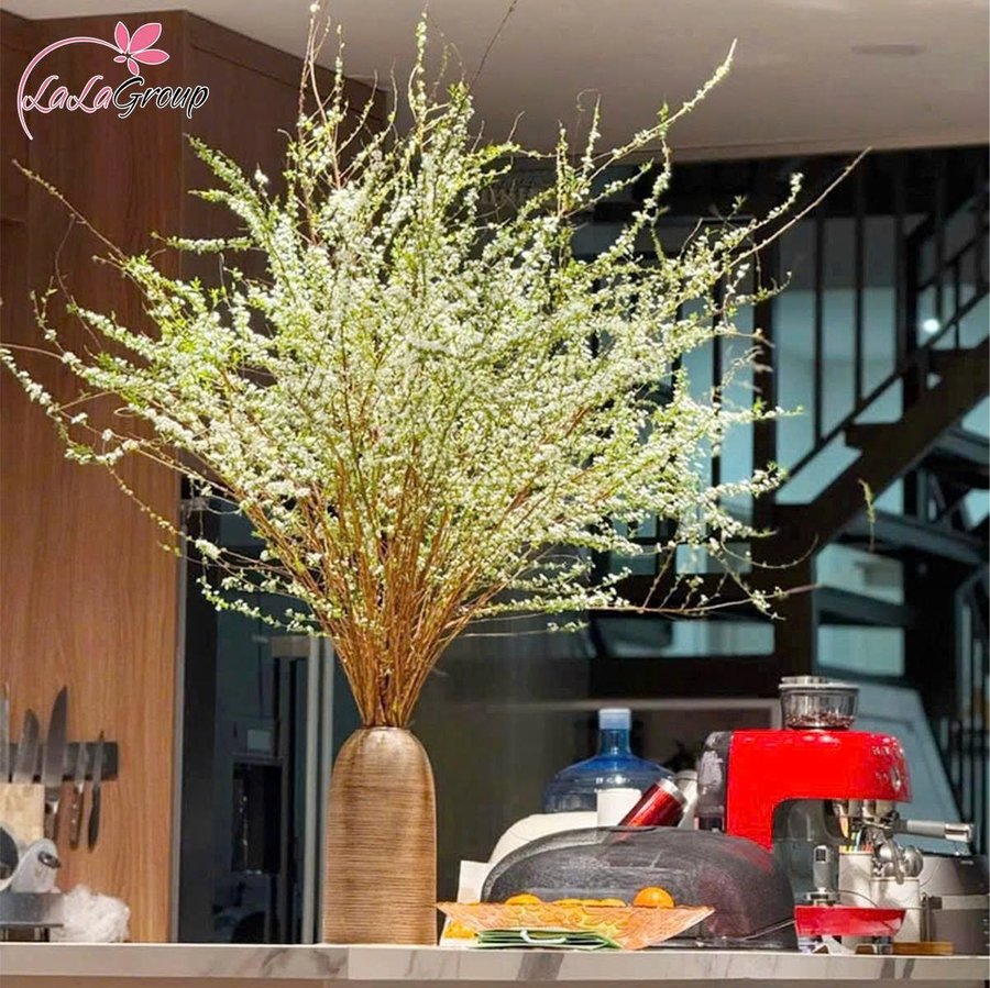 Ảnh sản phẩm - Lala Shop