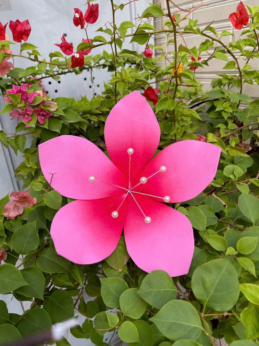 Ảnh sản phẩm - Lala Shop