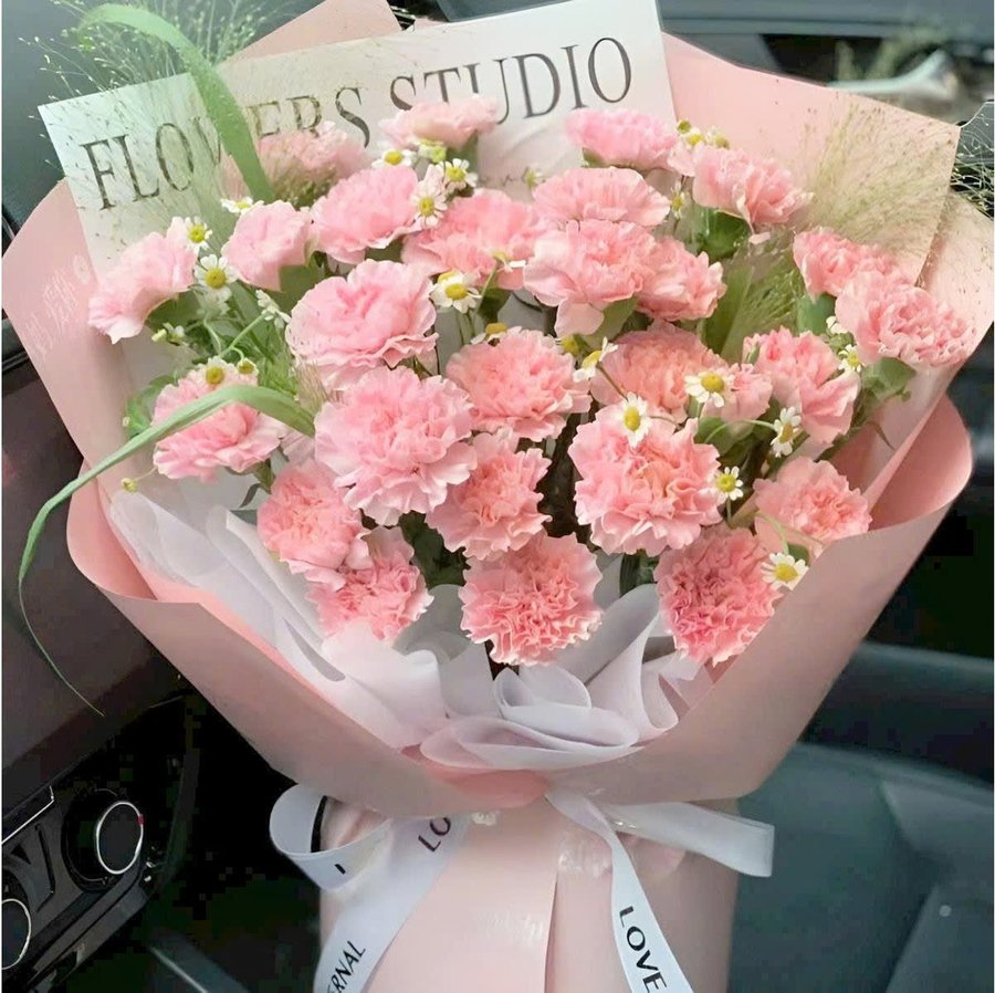 Bó Hoa Cẩm Chướng Hồng Quà Tặng Nhẹ Nhàng Và Tinh Tế