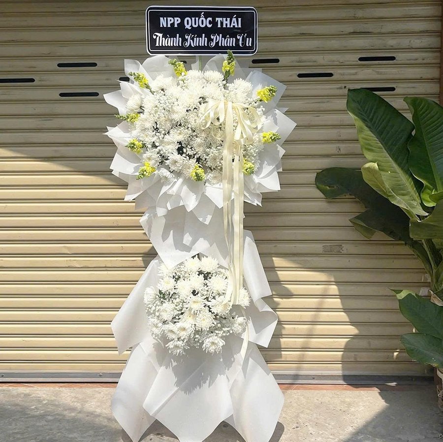 Ảnh sản phẩm - Lala Shop