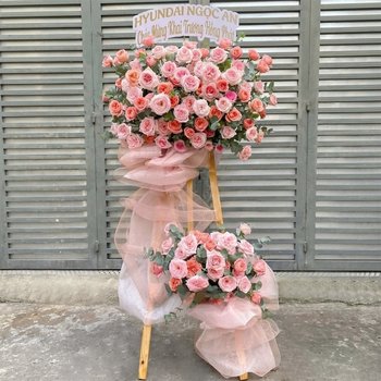 Hoa Khai Trương Hồng Ngọt Ngào