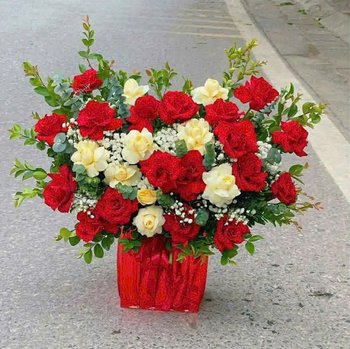 Chậu Hoa Hồng Đỏ Rực Rỡ Quà Tặng Ngọt Ngào