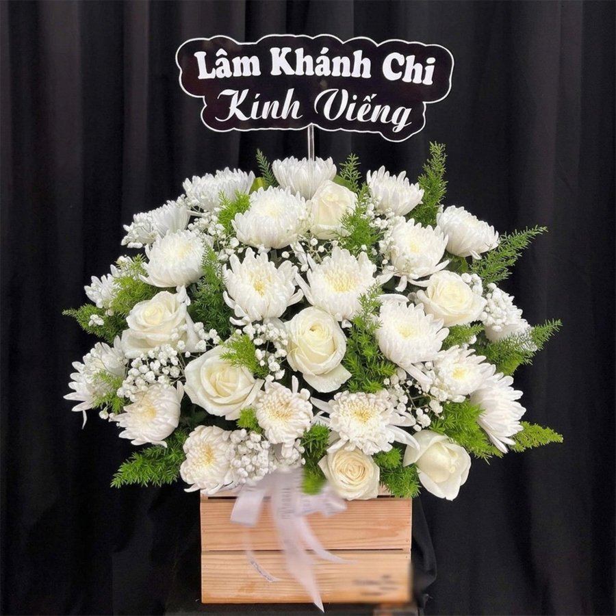 Ảnh sản phẩm - Lala Shop