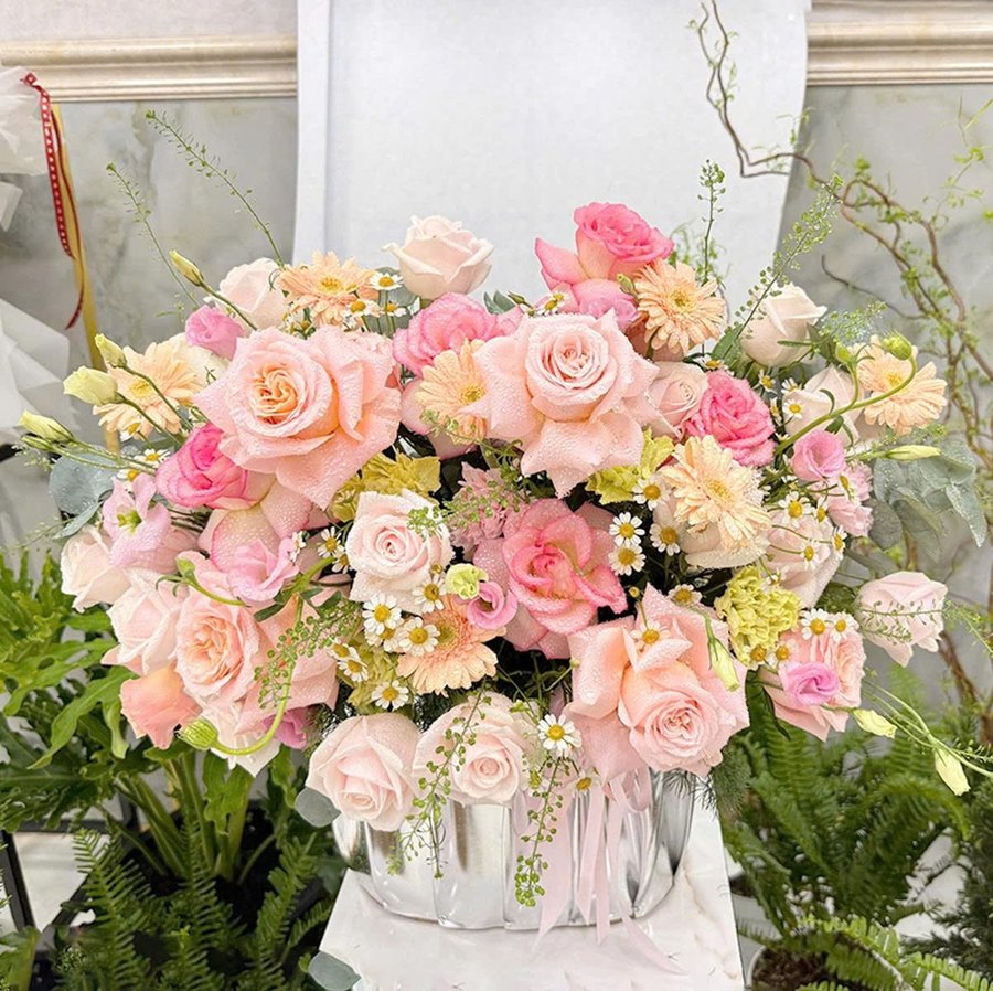Chậu Hoa Hồng Pastel Mix Cúc Họa Mi Ngọt Ngào Thơ Mộng