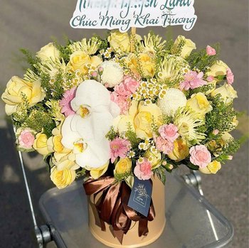 Chậu Hoa Chúc Mừng Tone Vàng Pastel Mix Hoa Lan Sang Trọng