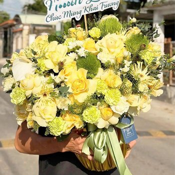 Chậu Hoa Tài Lộc Tone Xanh Mơ Nhẹ Nhàng Tinh Khôi