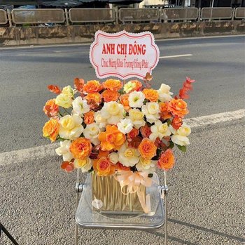 Chậu Hoa Hồng Vàng Cam Rực Rỡ Sắc Màu