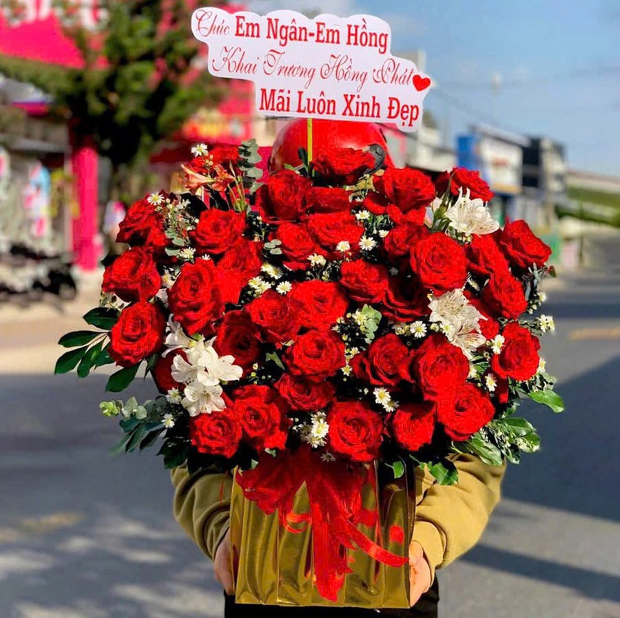 Chậu Hoa Hồng Đỏ Mix Hoa Cúc Họa Mi Lung Linh Rực Rỡ