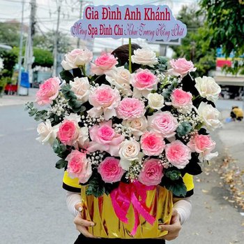 Chậu Hoa Hồng Mix Cẩm Chướng Hồng Quà Tặng Yêu Thương Ngọt Ngào