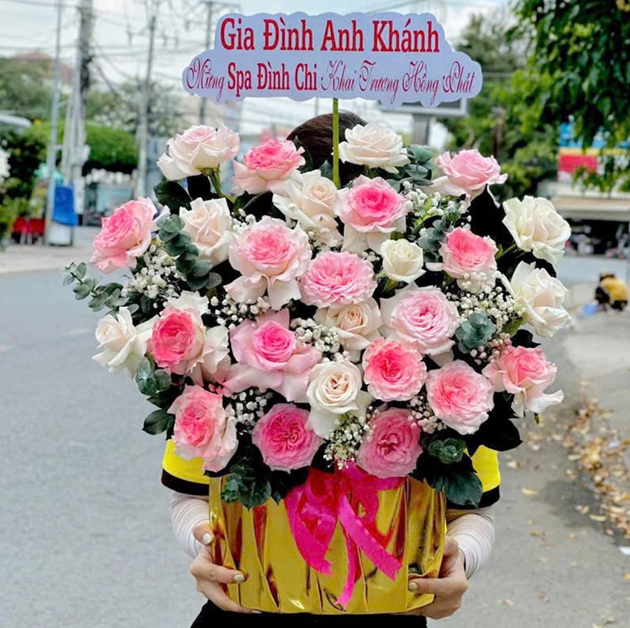 Chậu Hoa Hồng Mix Cẩm Chướng Hồng Quà Tặng Yêu Thương Ngọt Ngào