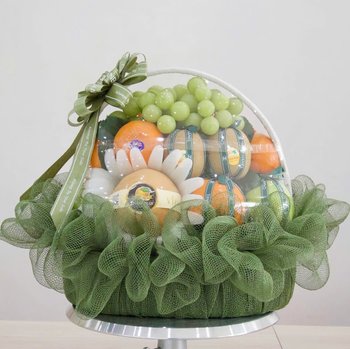 Giỏ Quà Tặng Cây Cao Cấp Kèm Nơ Ruy Băng Xanh Lá Xinh Xắn