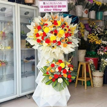 Hoa Khai Trương Đa Sắc Cát Tường