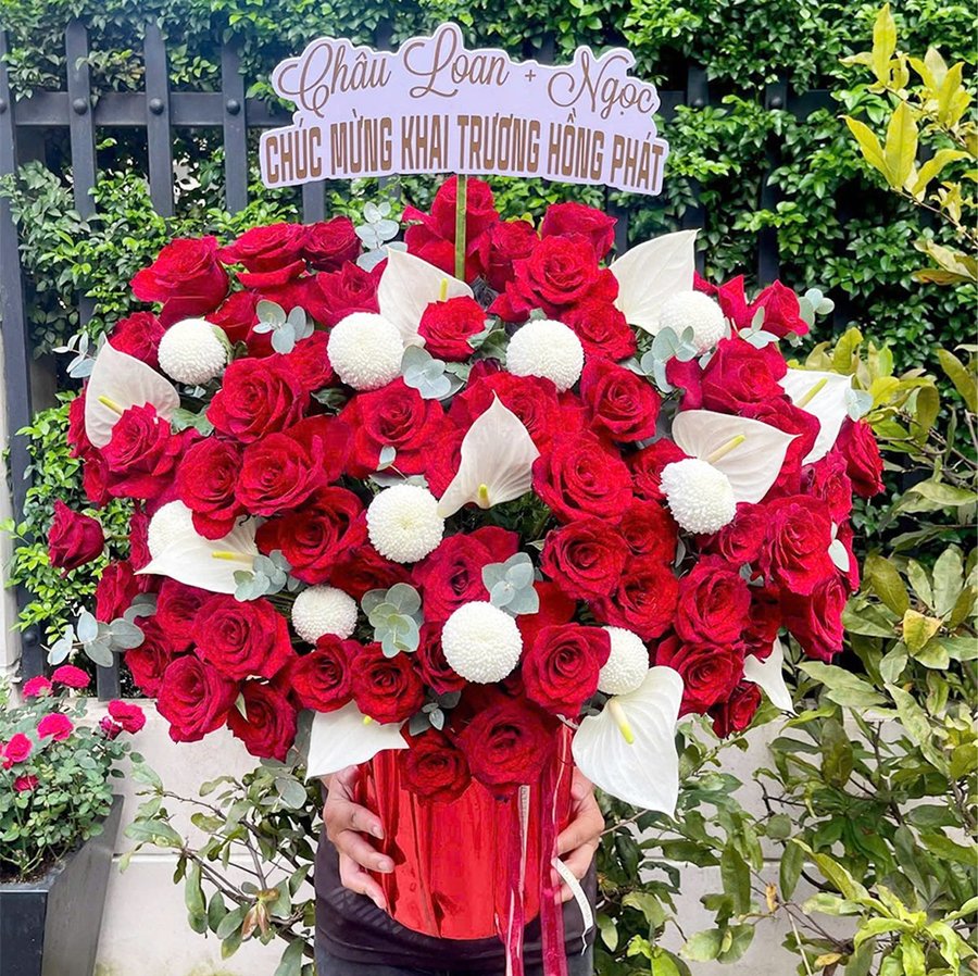 Ảnh sản phẩm - Lala Shop