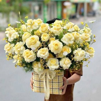Chậu Hoa Chúc Mừng Tone Vàng Đại Lợi