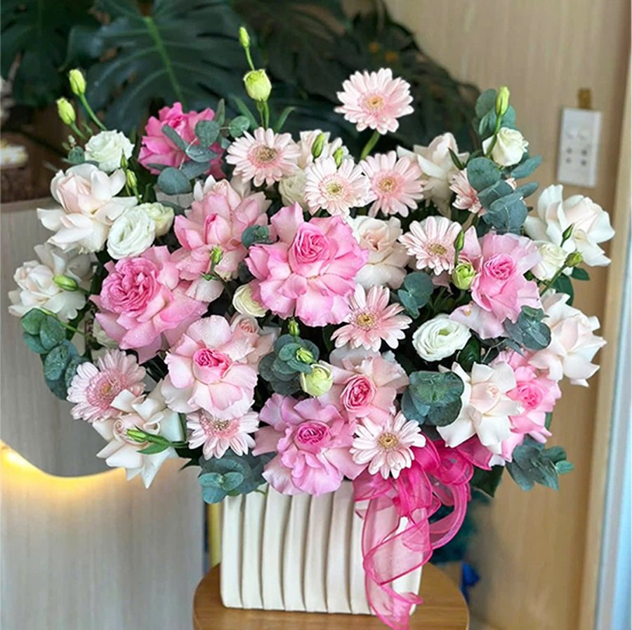 Ảnh sản phẩm - Lala Shop