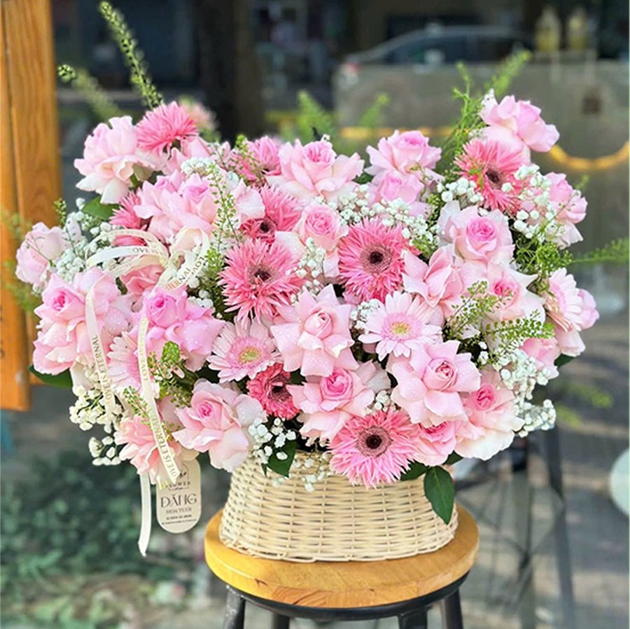 Ảnh sản phẩm - Lala Shop