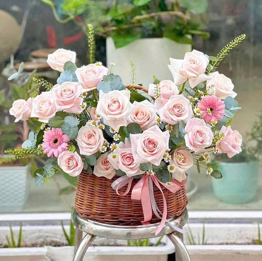 Ảnh sản phẩm - Lala Shop