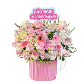 Giỏ Hoa Hồng Mix Đồng Tiền Phồn Vinh