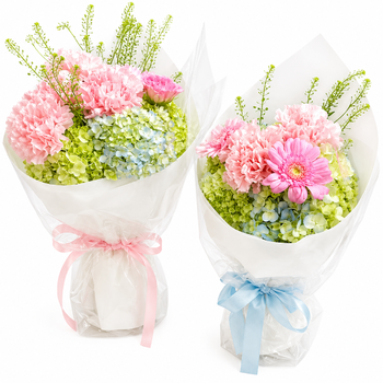 Hoa Tú Cầu Mix Cúc Gerbera Hồng Mềm Mại