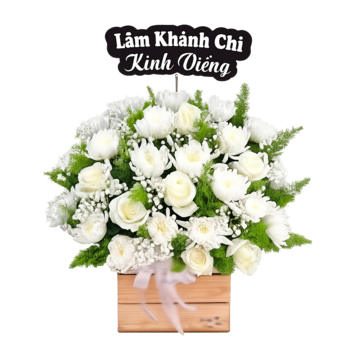 Chậu Hoa Chia Buồn Hoa Hồng Mix Hoa Cúc Trắng Tinh Tế