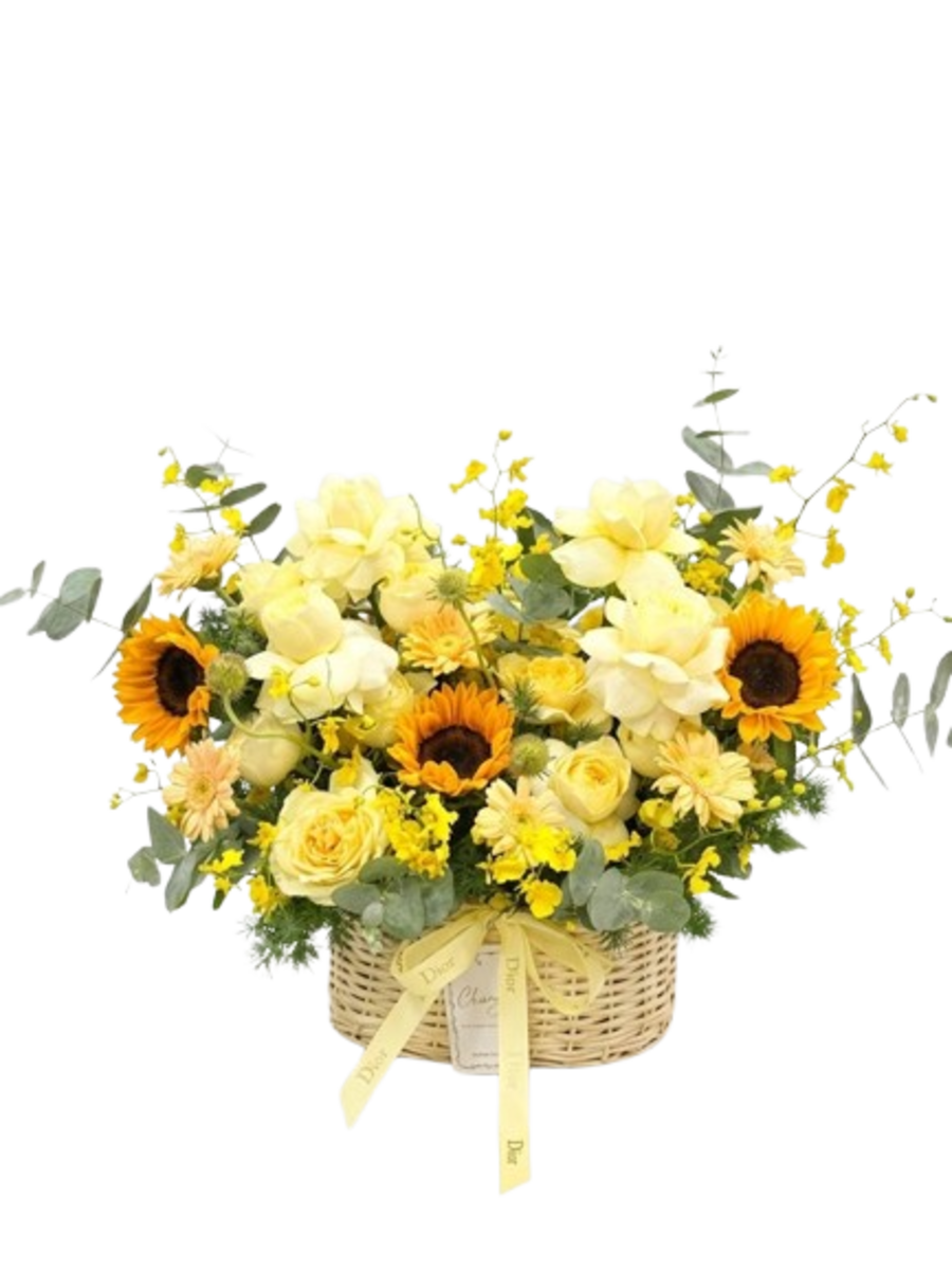 Gỉỏ Hoa Tia Nắng Vàng Tươi