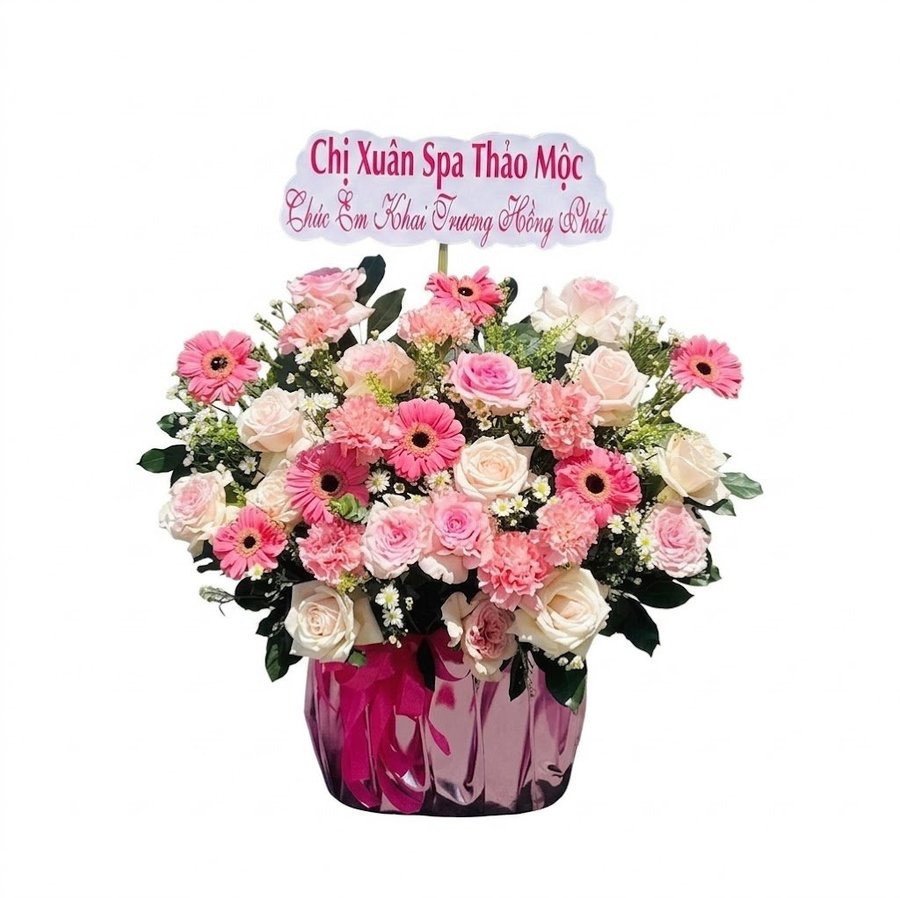Chậu Hoa Hồng Pastel Mix Đồng Tiền Yêu Kiều
